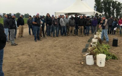 2021 Miller Research Potato Pest Management Field Day