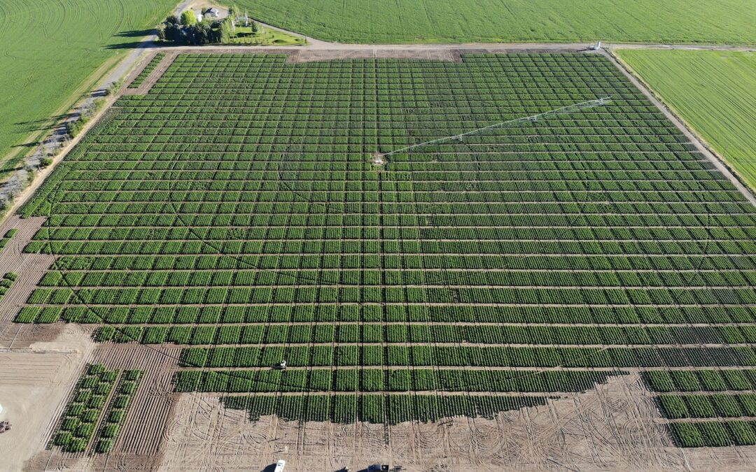 2022 Miller Research Potato Pest Management Meeting