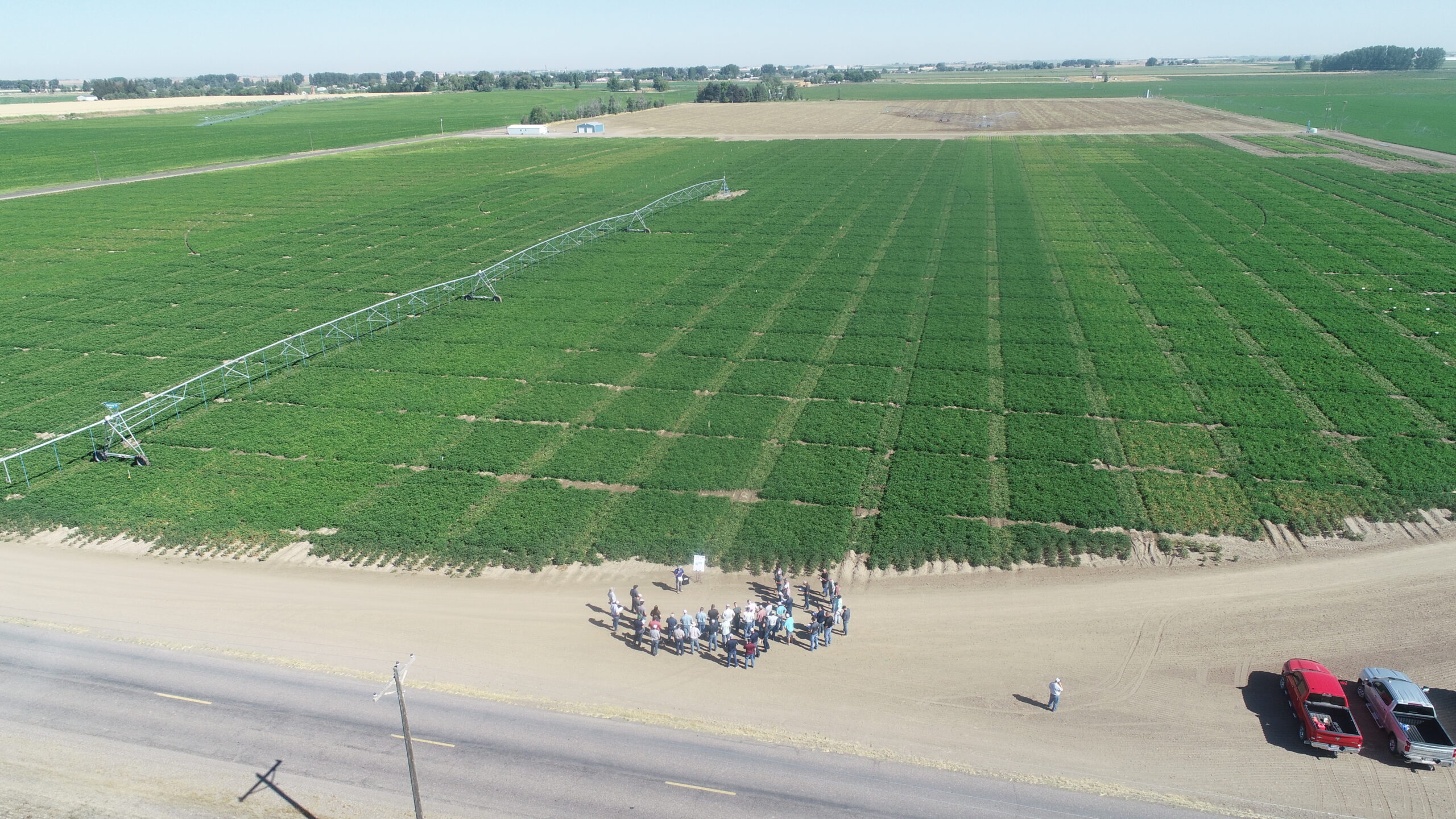 Attendees gather to view research plots at the 2022 Miller Research Potato Disease Management Field Day.